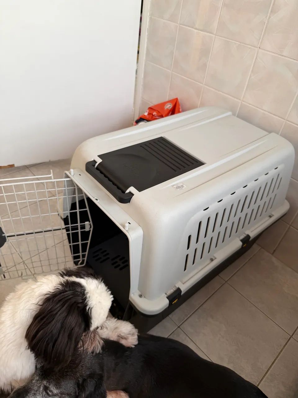 Caixa de transporte para cachorro  - Foto 2