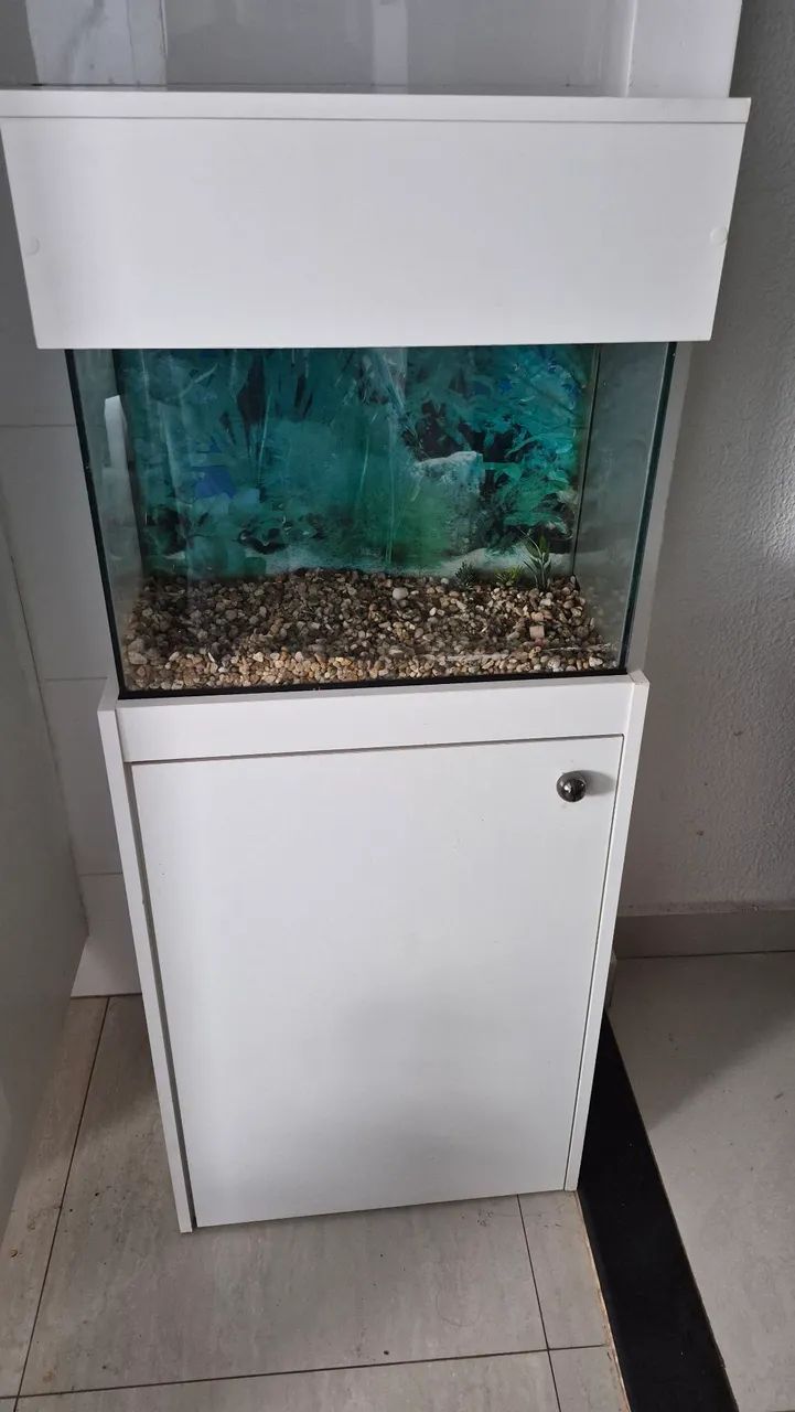 Aquário com móvel mdf  - Foto 2