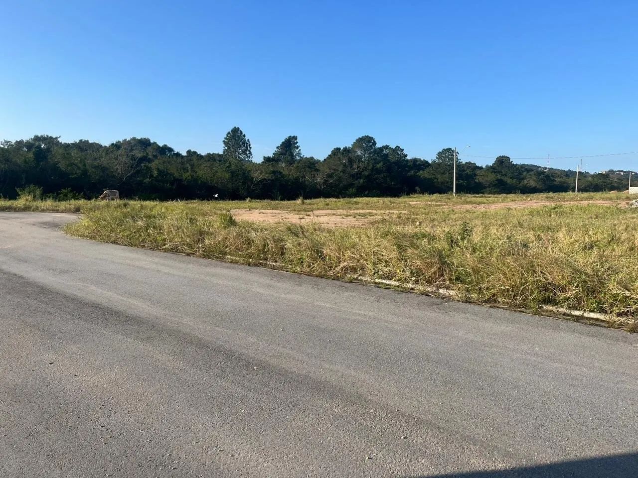 Terreno para Venda em Florianópolis, Vargem Grande - Foto 5