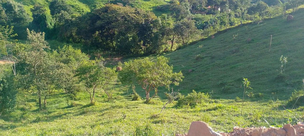 Terreno 1000 - Foto 2