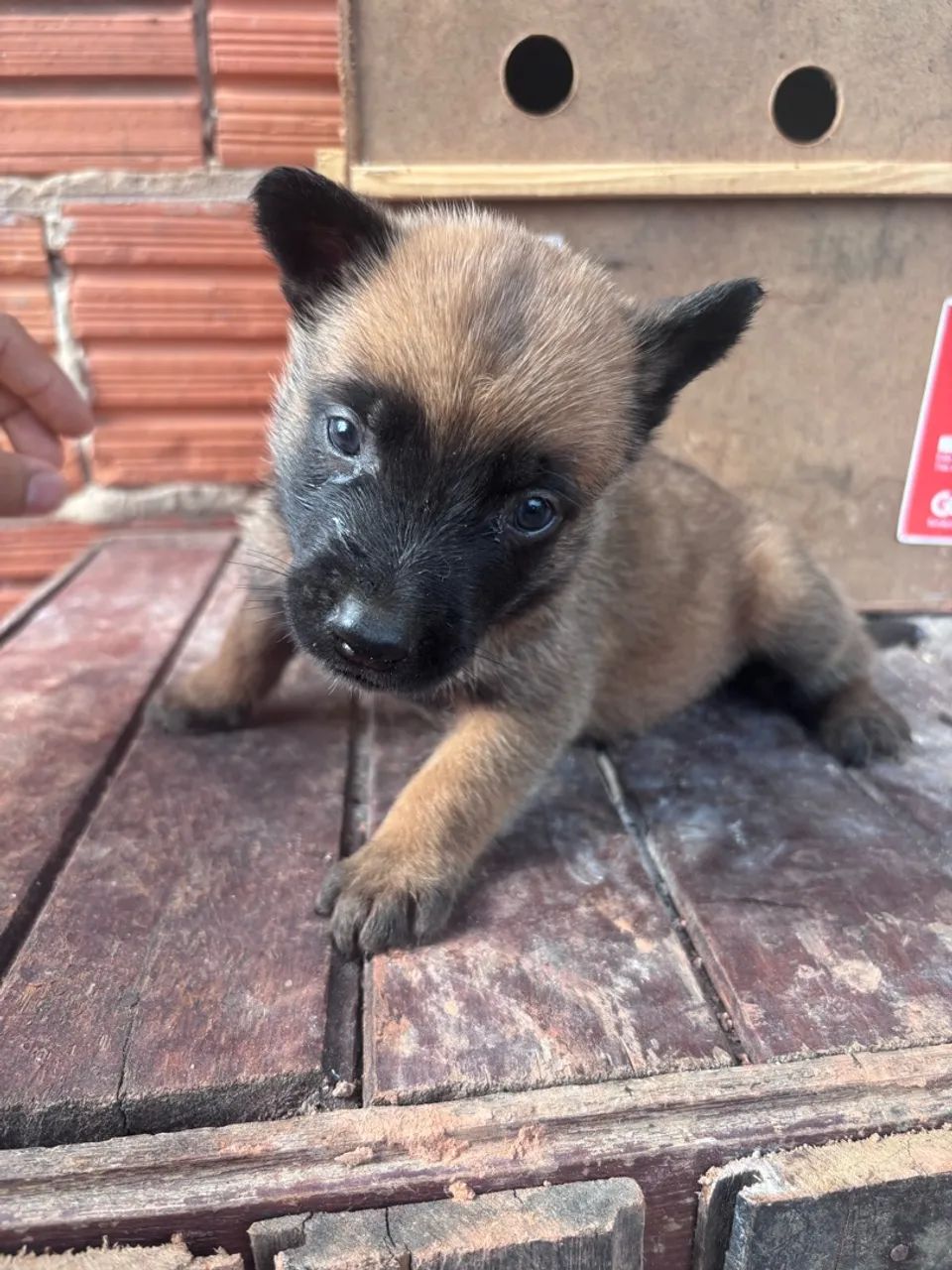 Vende se - Foto 3