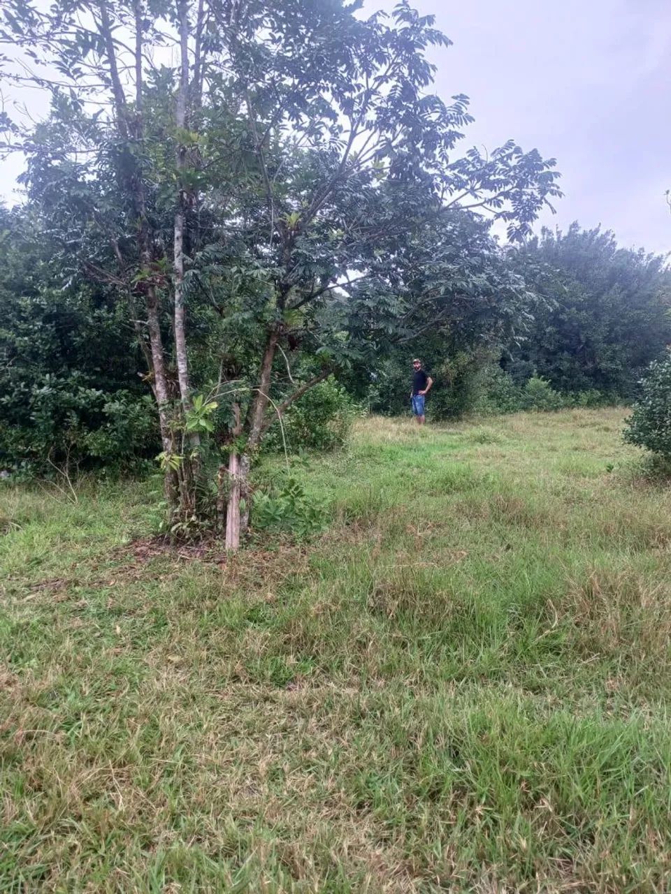 Terreno em Guaratuba  - Foto 2