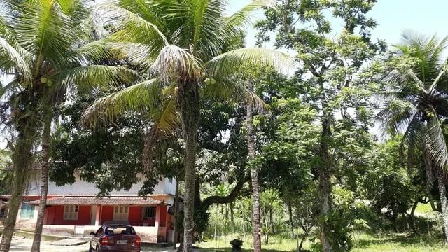 TANGUÁ - RURAL - TANGUÁ - Foto 4