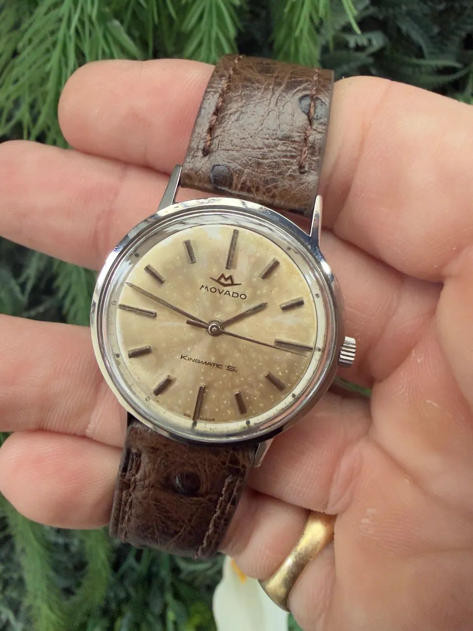 Movado kingmatic s automático
