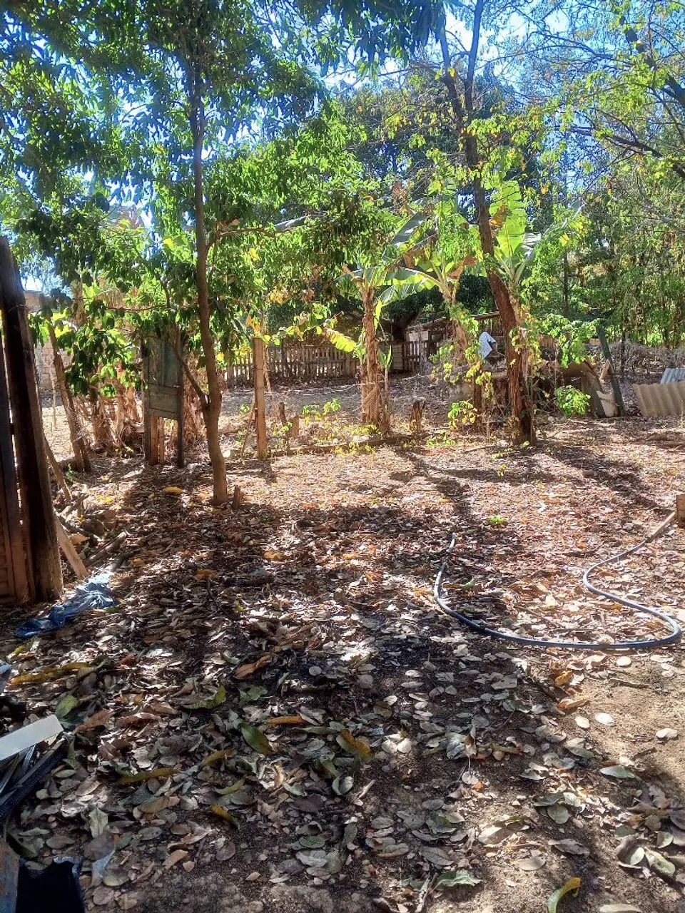 LOTE. - Foto 2