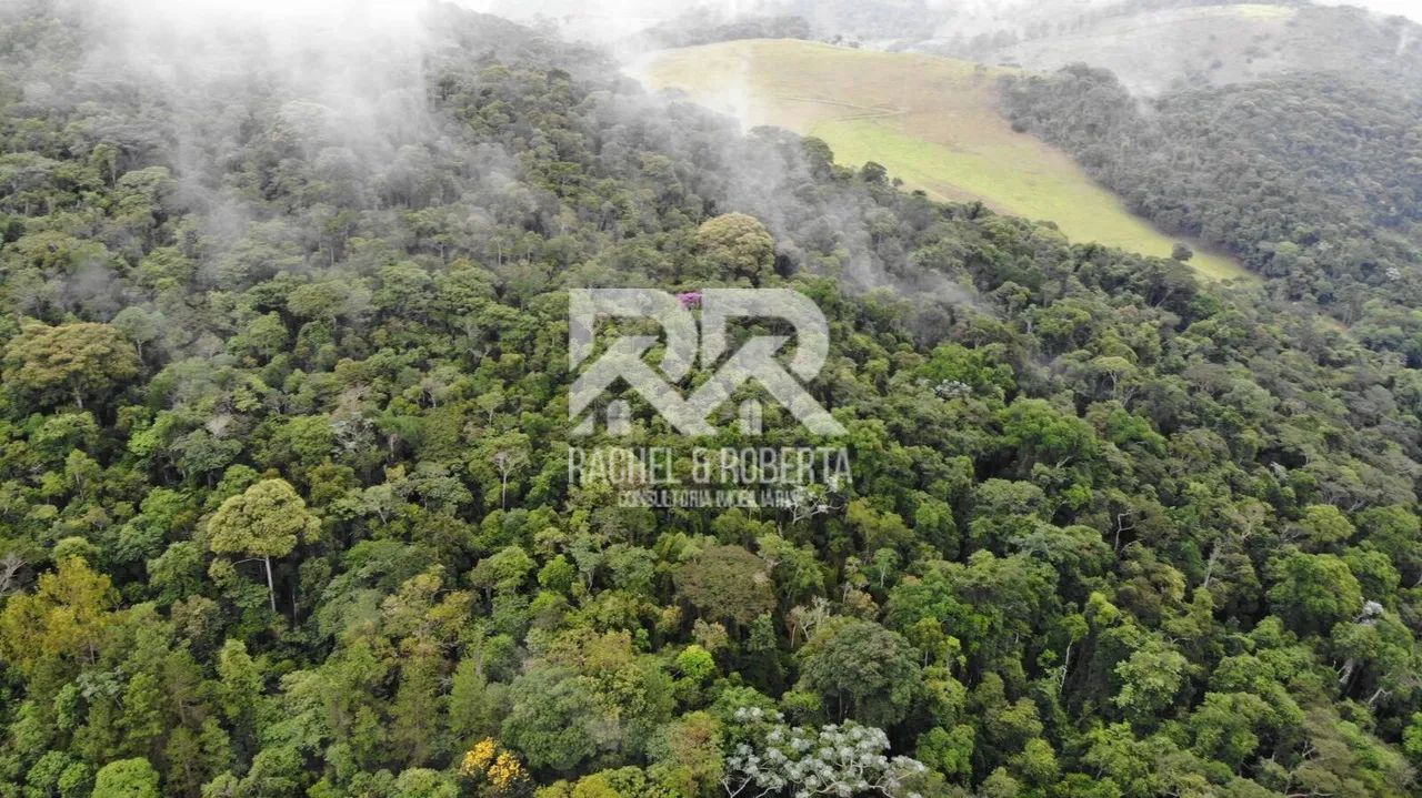 Fazenda em Santa Rita - Foto 3