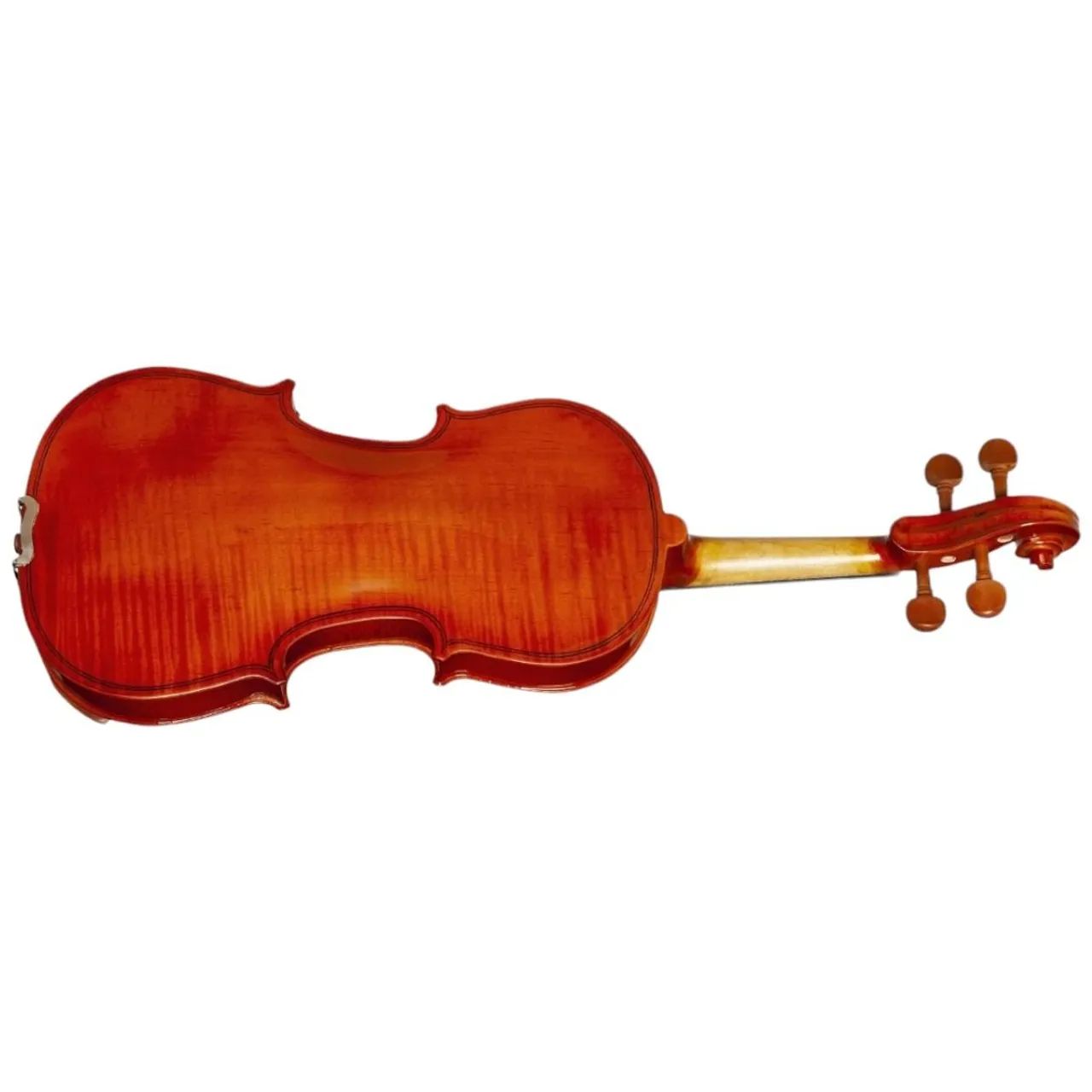 Violino - Foto 5
