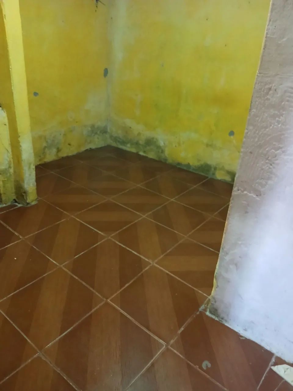 Foto - Fortaleza - Passaré