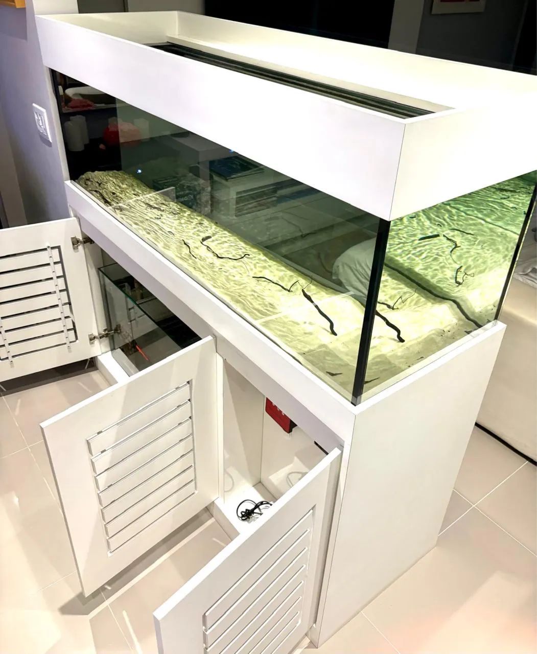 Aquário com Sump + Móvel  - Foto 5