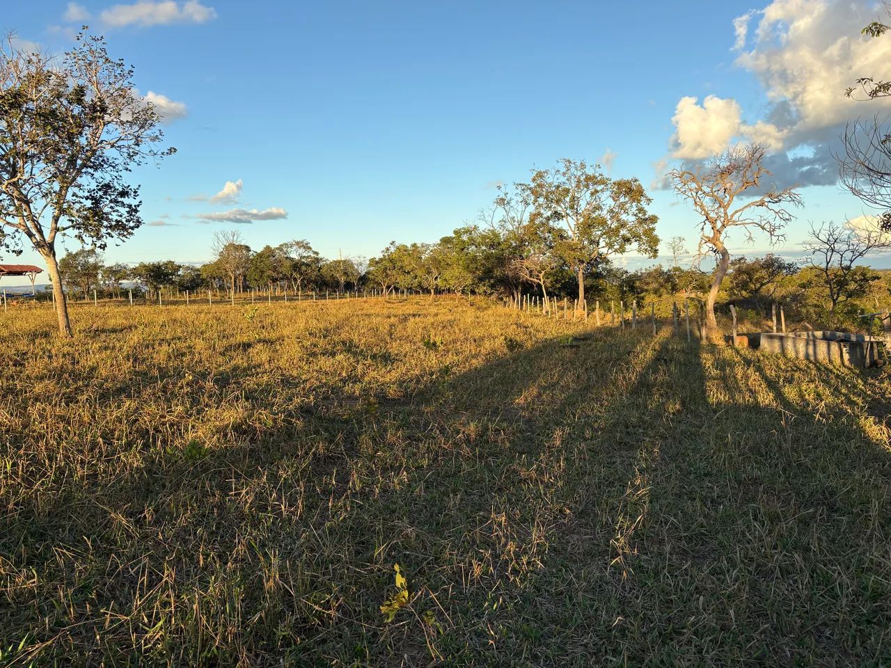 Chácara perfeita - Foto 2