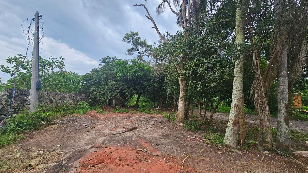 Terreno 1.000m² para Locação no Campeche | Energia Trifásica - Foto 6