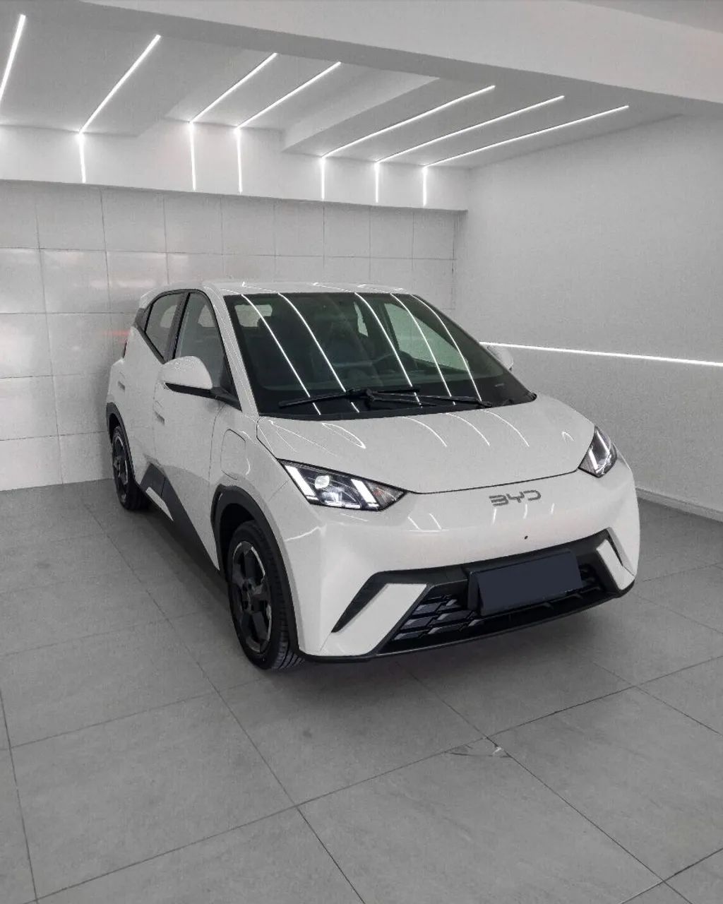 BYD Dolphin Mini (Elétrico) 2025 - Foto 3