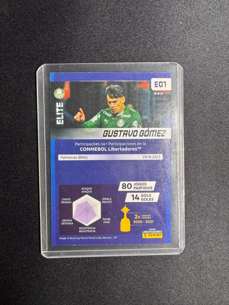 Card Libertadores - Gustavo Gomez  - Foto 2