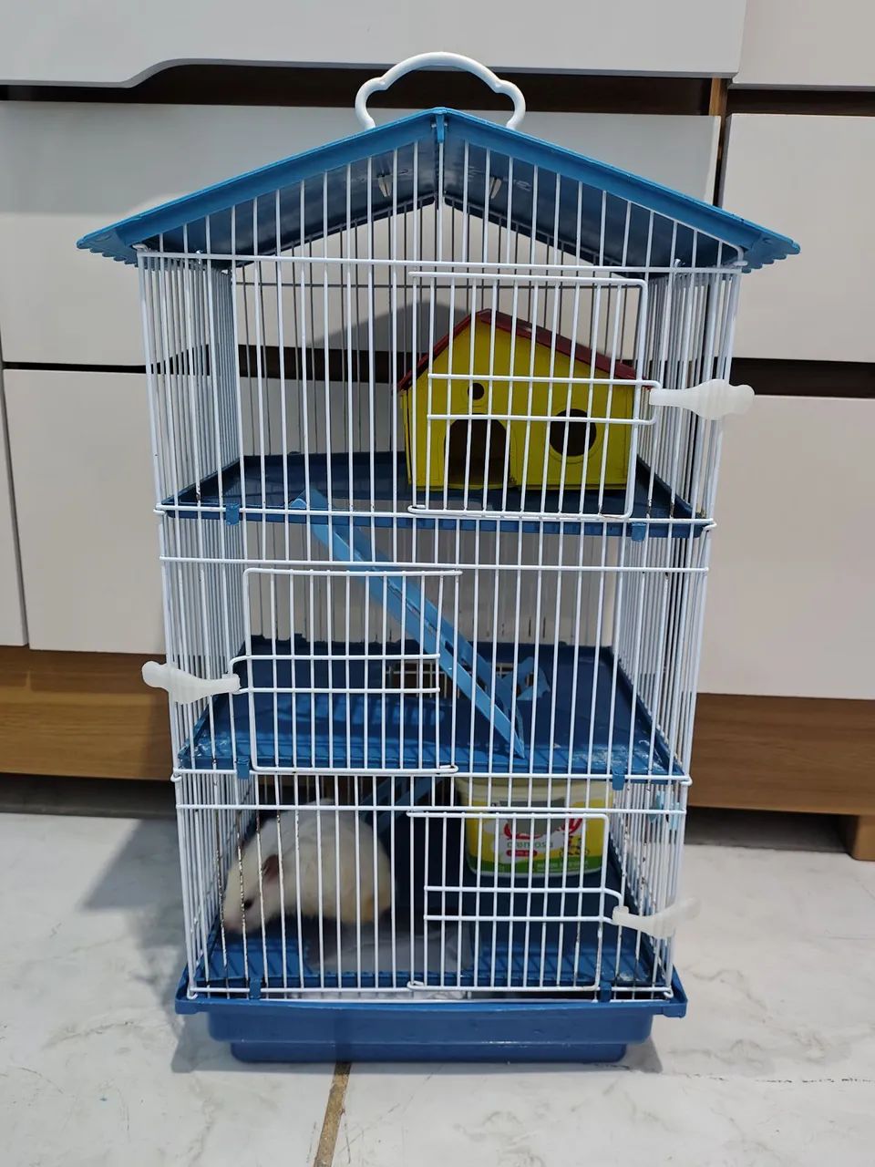 Casinha de hamster com uma hamster fêmea ?  - Foto 2