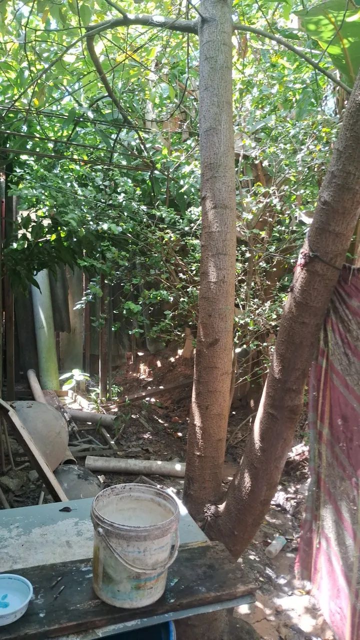 Casa  - Foto 5