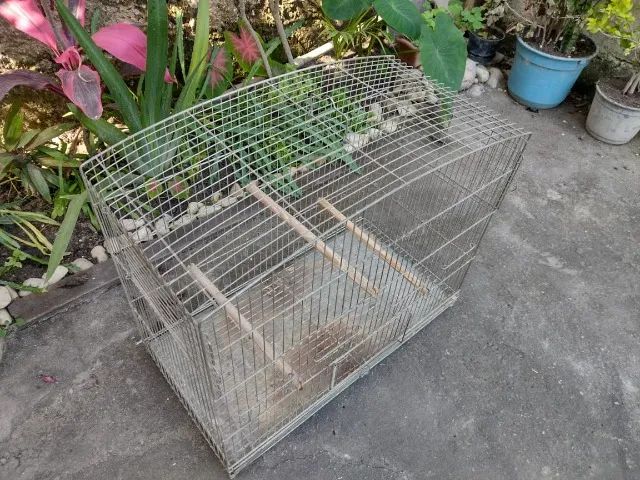 Gaiola para Pássaros (Diversos) - Foto 3