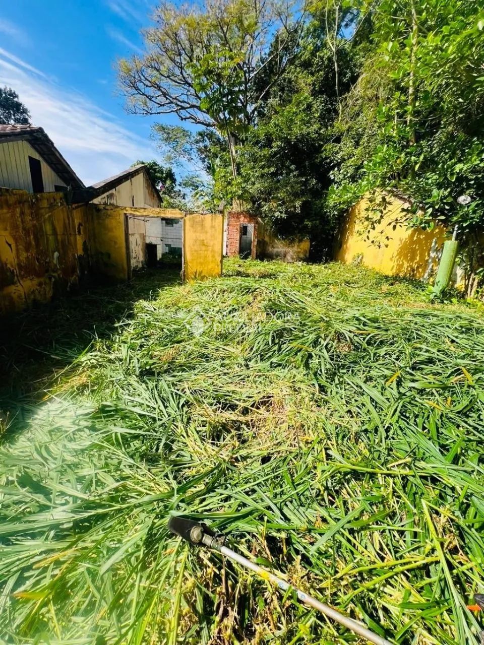 Terreno com natureza preservada. - Foto 4