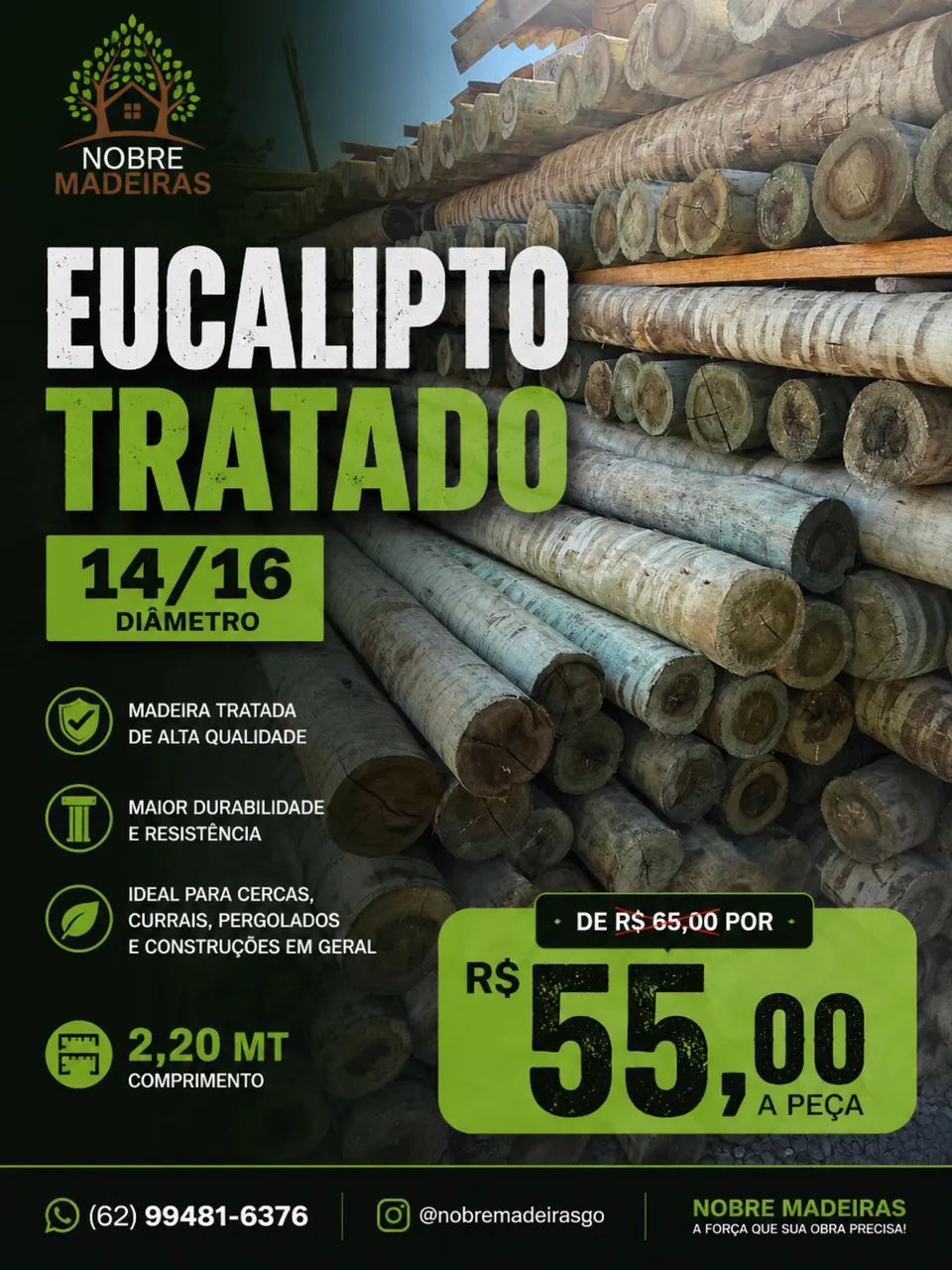 Eucalipto Tratado  - Foto 3
