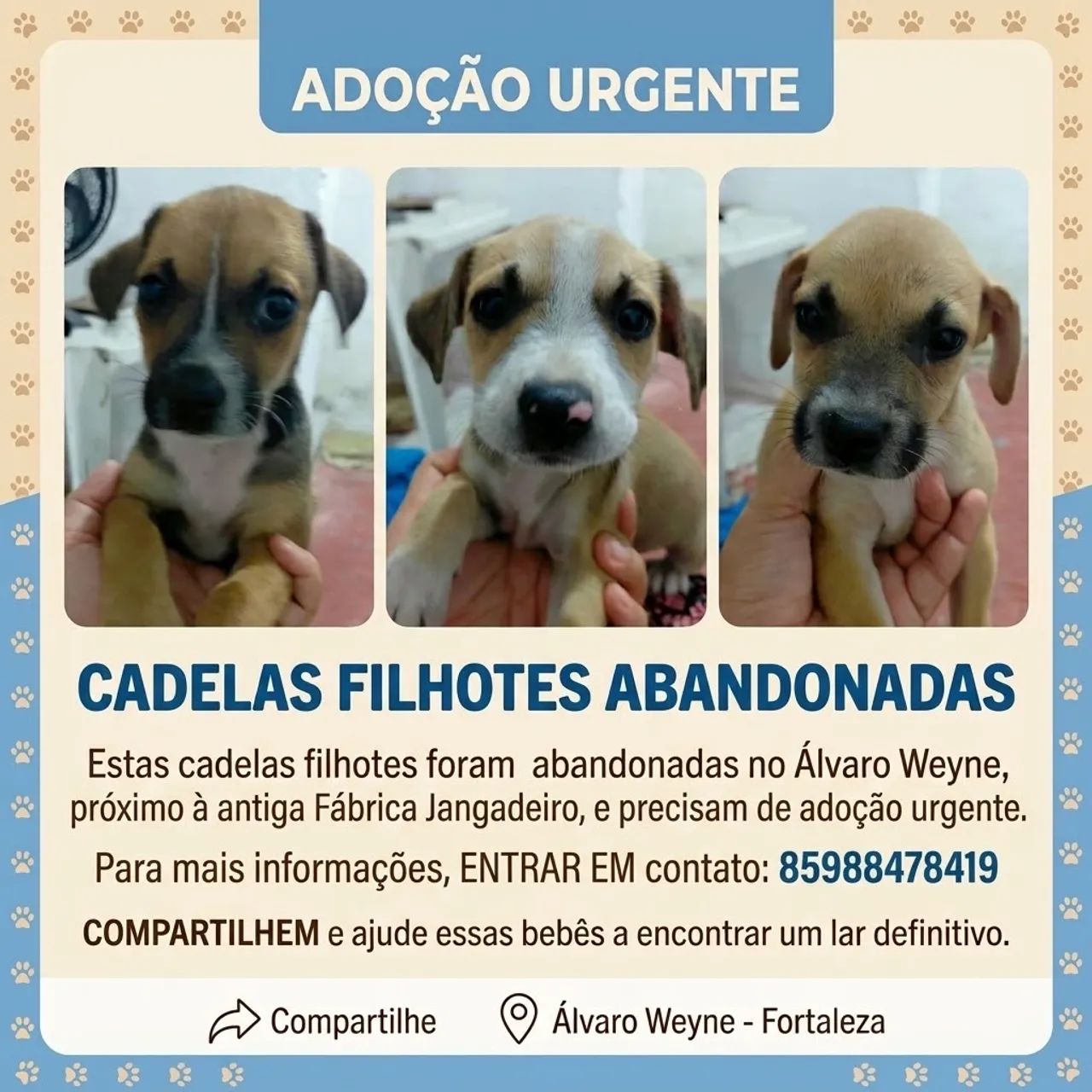 ADOÇÃO URGENTE