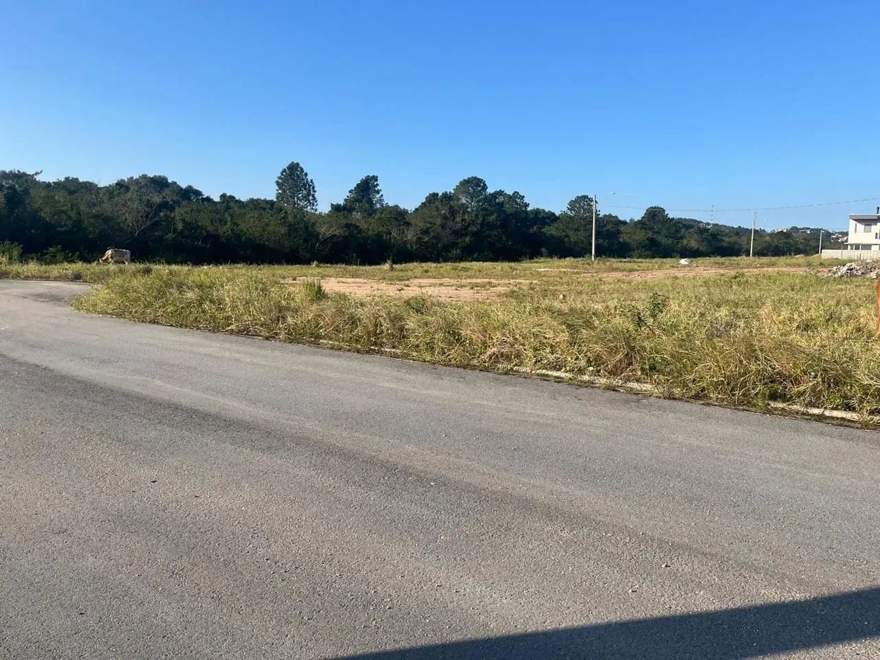 Terreno para Venda em Florianópolis, Vargem Grande - Foto 3