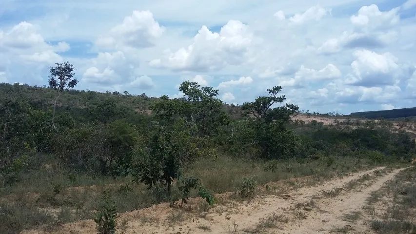 Chácara Financiada de 1.000 m2 em Curvelo e Cordisburgo - Foto 4