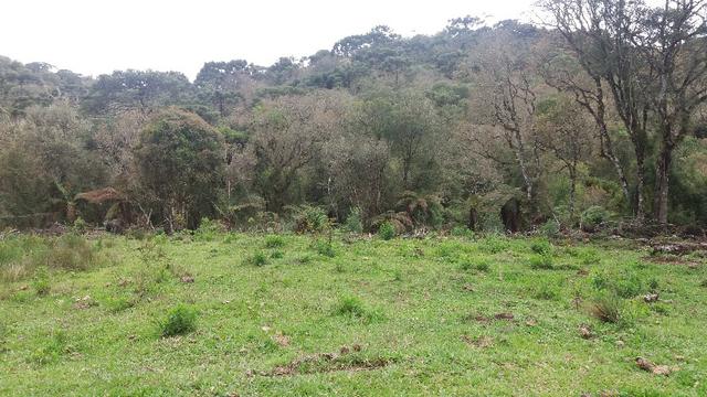 Sitio em Urubici /chacara em Urubici - Foto 7