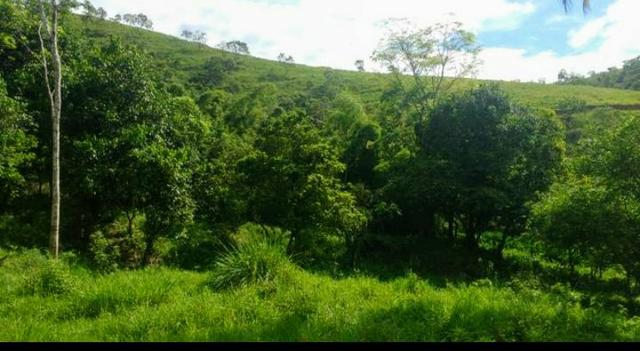Belíssima Propriedade em Cachoeiras de Macacu medindo 200.000m2 oportunidade!!! - Foto 2