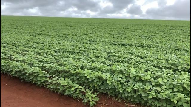 Fazenda em Nobres MT - Foto 5