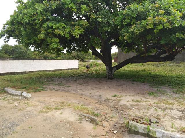 Terreno