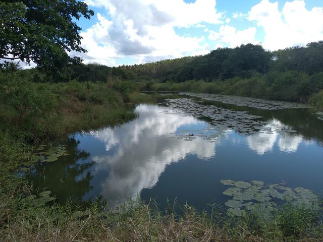 Terreno 10.000m2