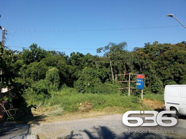 Terreno | Joinville | Santo Antônio - Foto 2