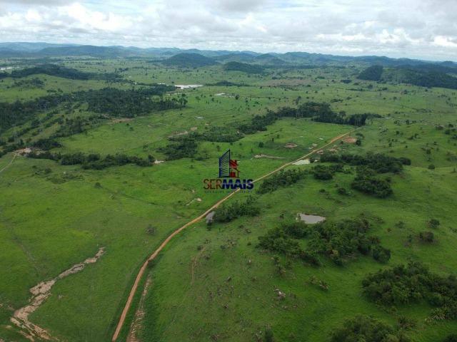 Fazenda à venda, por R$ 10.000.000 - Zona Rural - Presidente Médici/RO - Foto 11