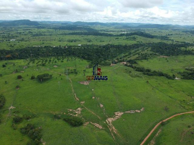 Fazenda à venda, por R$ 10.000.000 - Zona Rural - Presidente Médici/RO - Foto 4