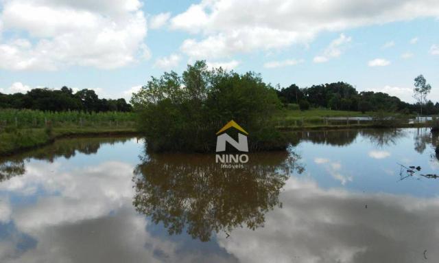 Chácara com 1 dormitório à venda, 50000 m² por r$ 318.000,00 - santa cruz da concórdia - t - Foto 6