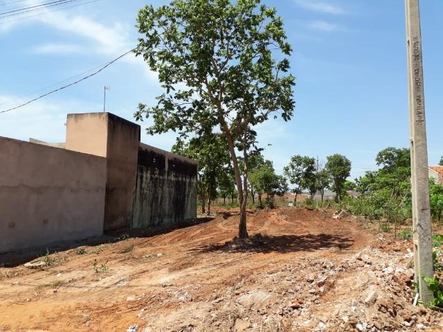Lote - Foto 2