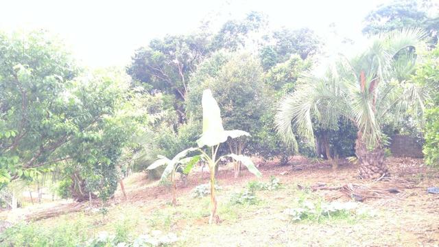 Chacara R$ 310,000.00 Faz. Rio Grande /Mandirituba medindo 20.000.00m2 - Foto 12