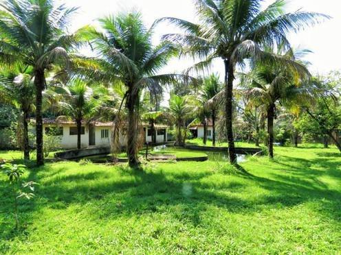 JCI - ACREdITE Belo Sitio 12.000m², Casa 3 qts, suite Master, Itaipuaçu - Foto 15