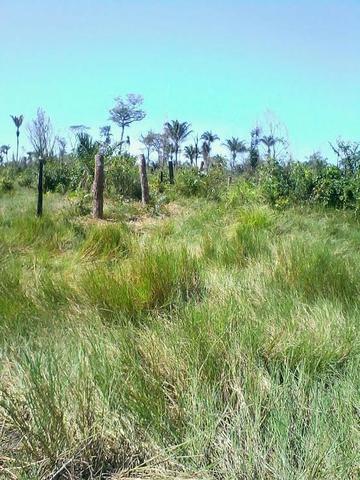 Fazenda em Luciara, MT - Foto 5