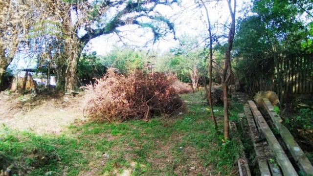 Terreno, Protásio Alves, Porto Alegre-RS - Foto 4