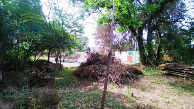 Terreno, Protásio Alves, Porto Alegre-RS - Foto 9
