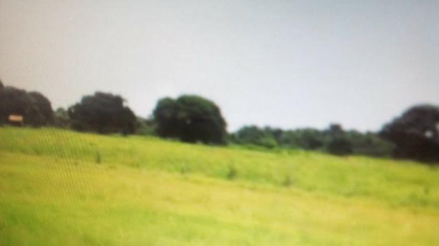 Fazenda 88 mil hectares de porteira fechada localizada na transpantaneira 220 km de Cuiabá - Foto 7