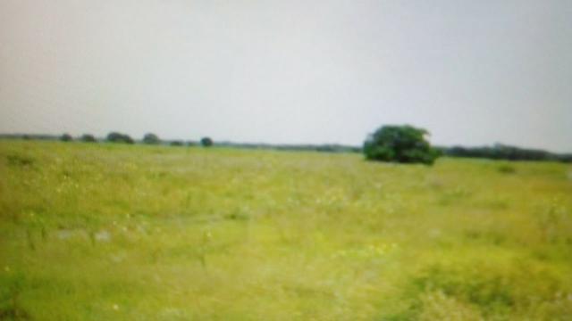 Fazenda 88 mil hectares de porteira fechada localizada na transpantaneira 220 km de Cuiabá - Foto 9