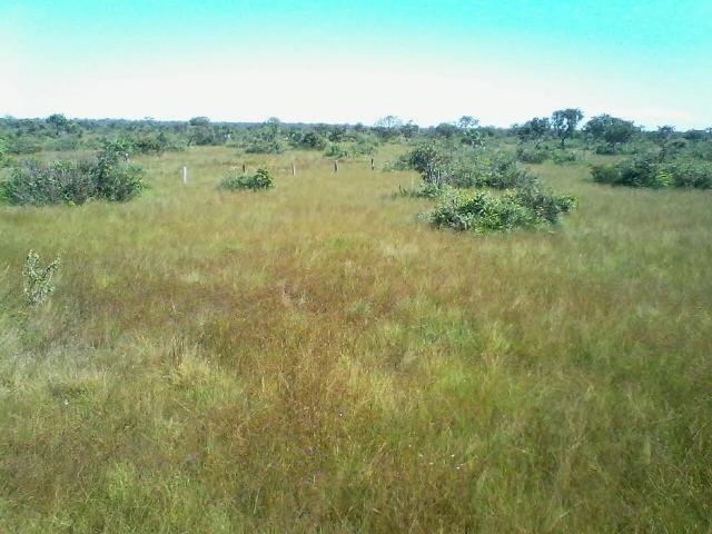 Fazenda em Luciara, MT - Foto 8