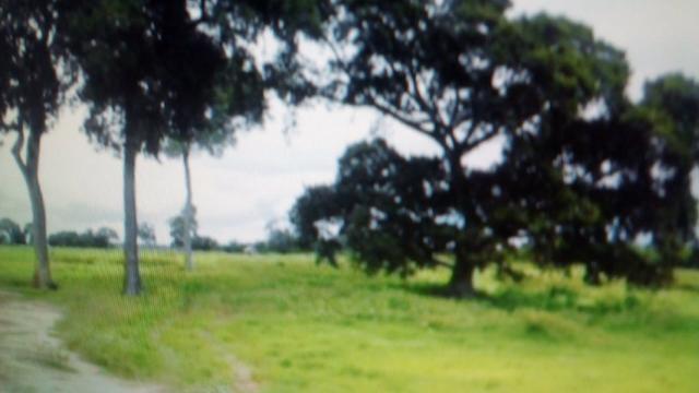 Fazenda 88 mil hectares de porteira fechada localizada na transpantaneira 220 km de Cuiabá - Foto 15