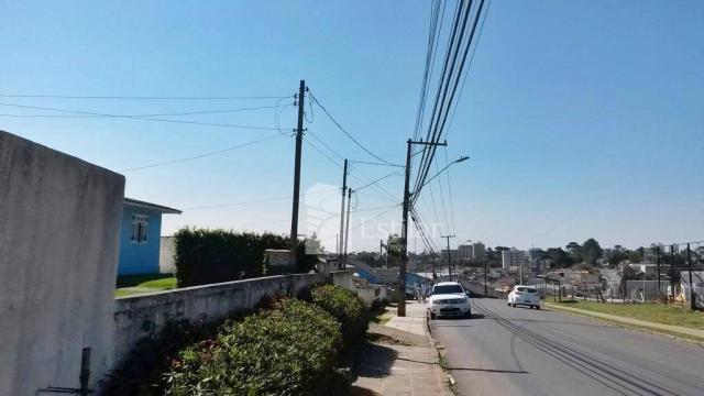 Terreno de 3.300m² na Colônia Rio Grande, São José dos Pinhais - Foto 8