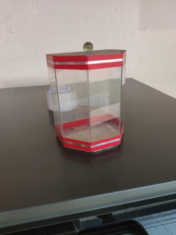 Aquário para peixe beta