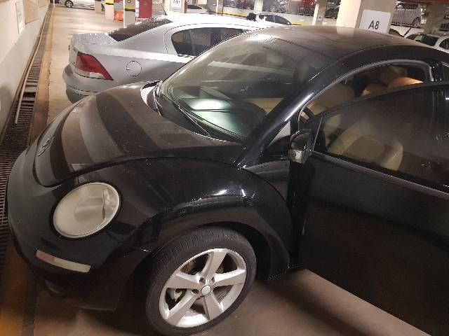 New beetle