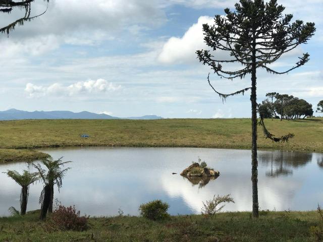 Terreno Urubici/ Chácara Urubici - Foto 8