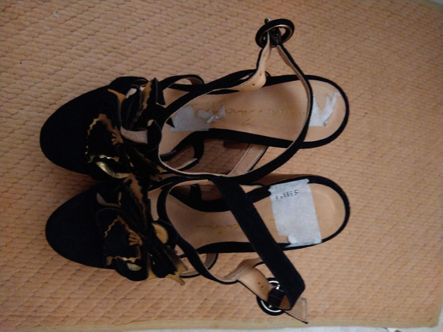 Sandália Luiza Barcelos - Foto 5