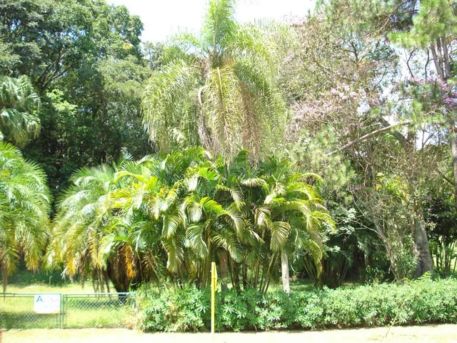 Terreno em Condomínios em Itu